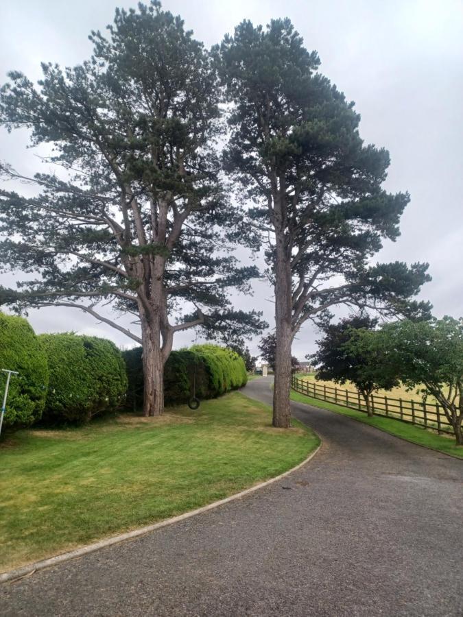 뉴캐슬 Loughview Retreat In The Mournes 아파트 외부 사진