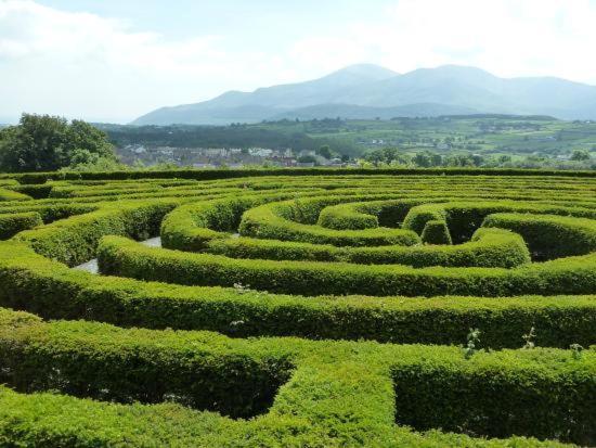 뉴캐슬 Loughview Retreat In The Mournes 아파트 외부 사진